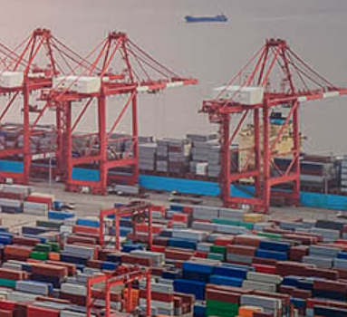 進口報關公司為何如此受歡迎