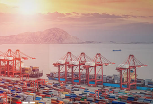 選擇進口報關代理的理由是什么