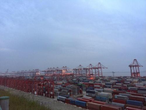 進口報關代理公司為何如此受歡迎